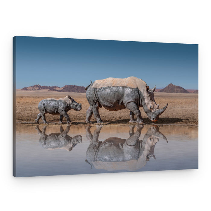 Rhino And Calf Reflection – Canvas Print