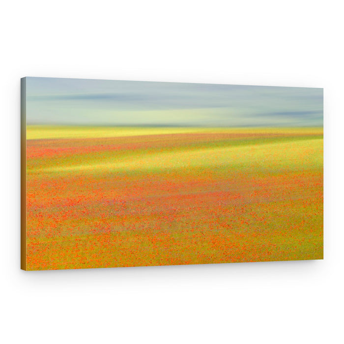 Soft Poppy Landscape – Canvas Print