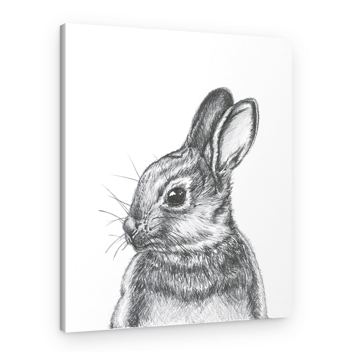 Curious Wild Bunny – Canvas Print