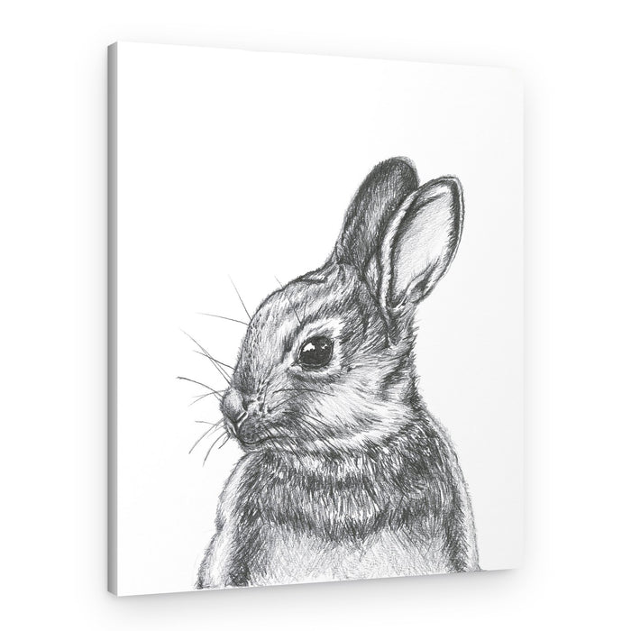 Curious Wild Bunny – Canvas Print