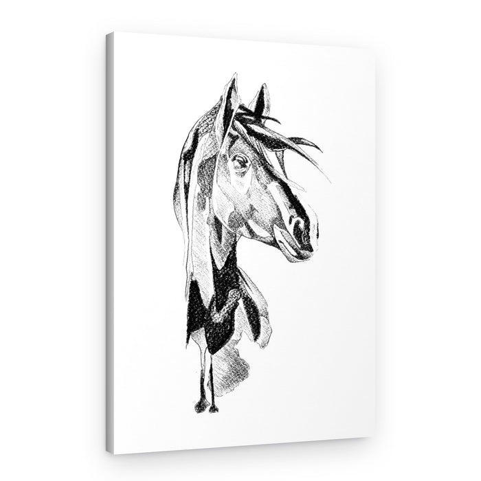 Dynamic Horse Sketch – Canvas Print