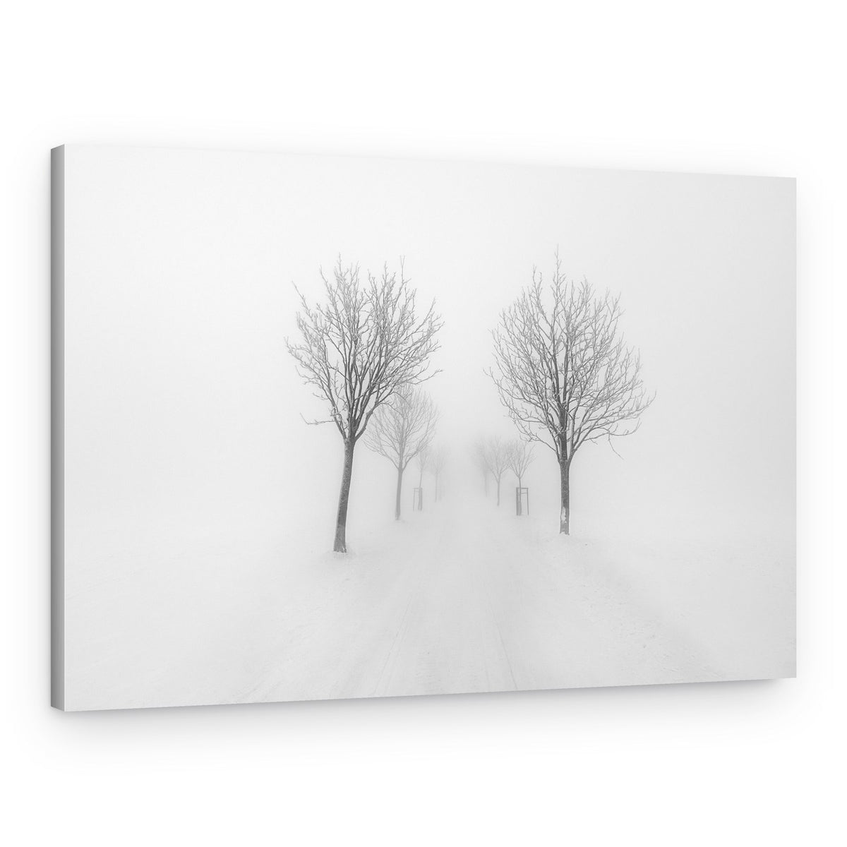 Misty Winter Path – Canvas Print