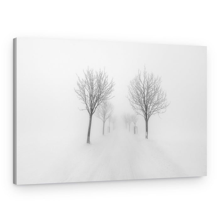 Misty Winter Path – Canvas Print