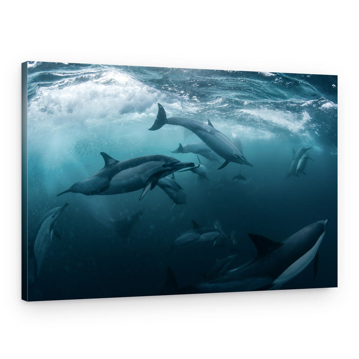 Dolphins Under The Wave – Canvas Print