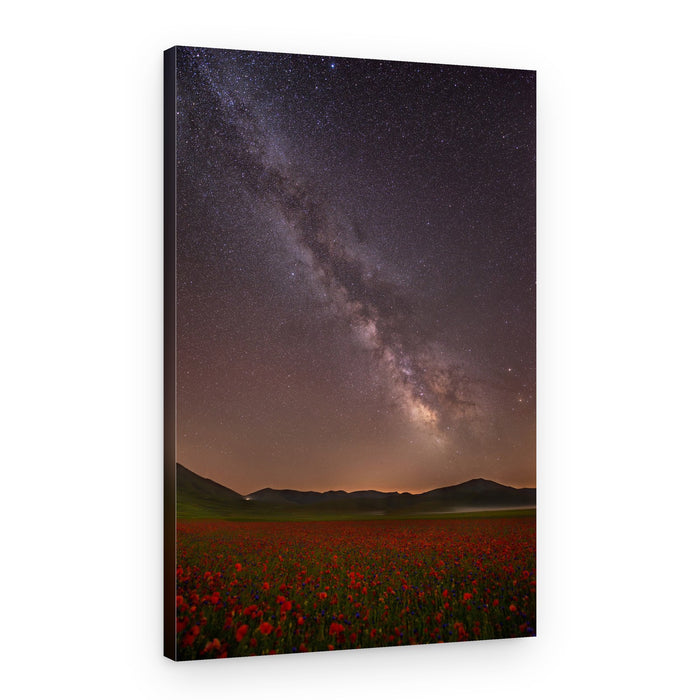 Milky Way Over Flowers – Canvas Print