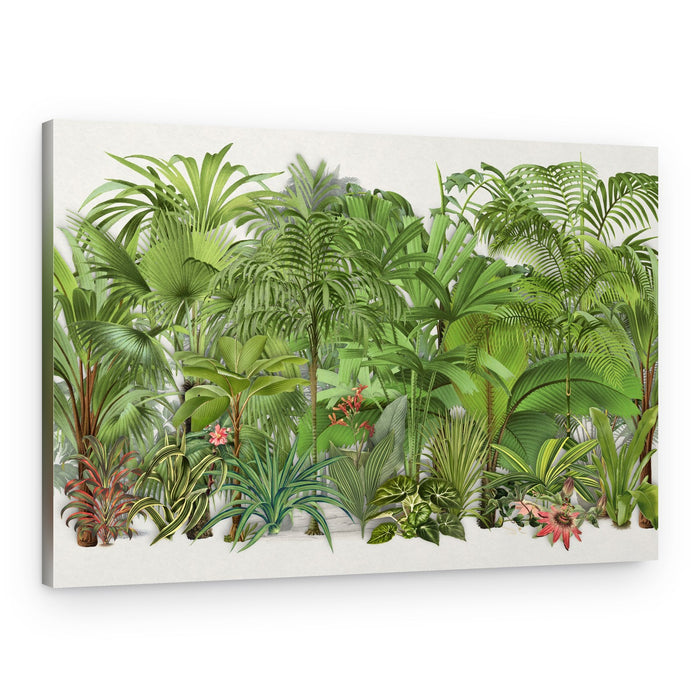 Lush Tropical Jungle – Canvas Print