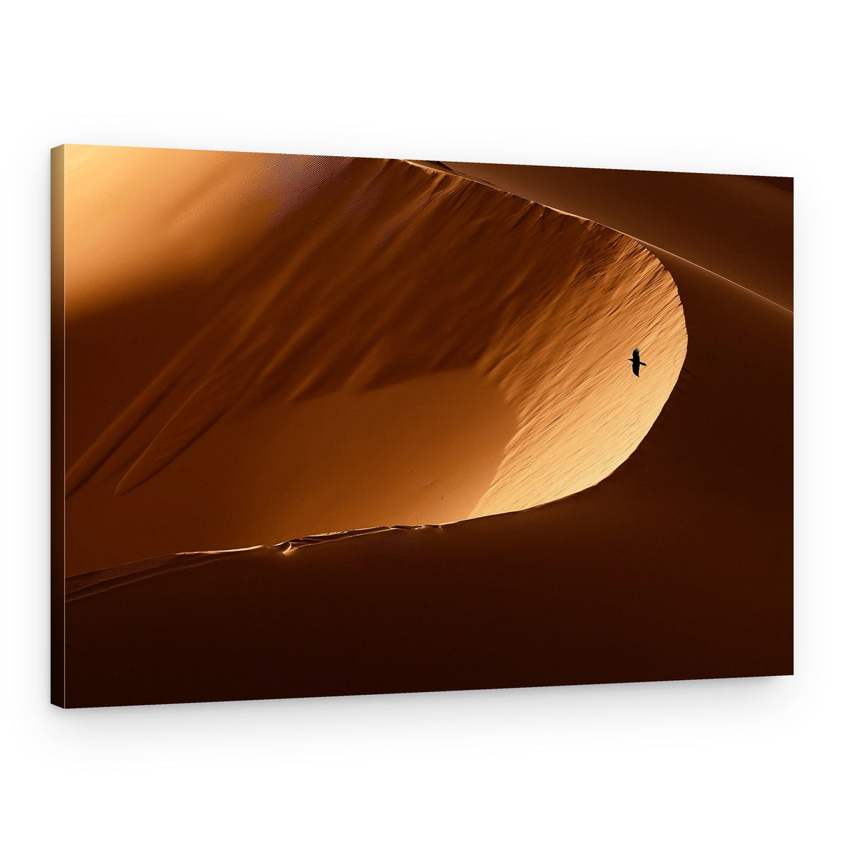 Golden Dune Flight – Canvas Print
