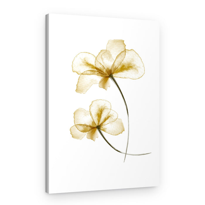 Delicate Gold Flowers – Canvas Print