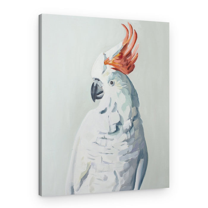 White Cockadoo – Canvas Print