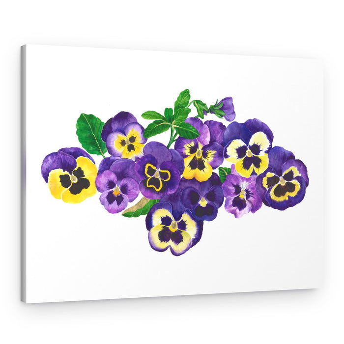 Purple And Yellow Pansies – Canvas Print