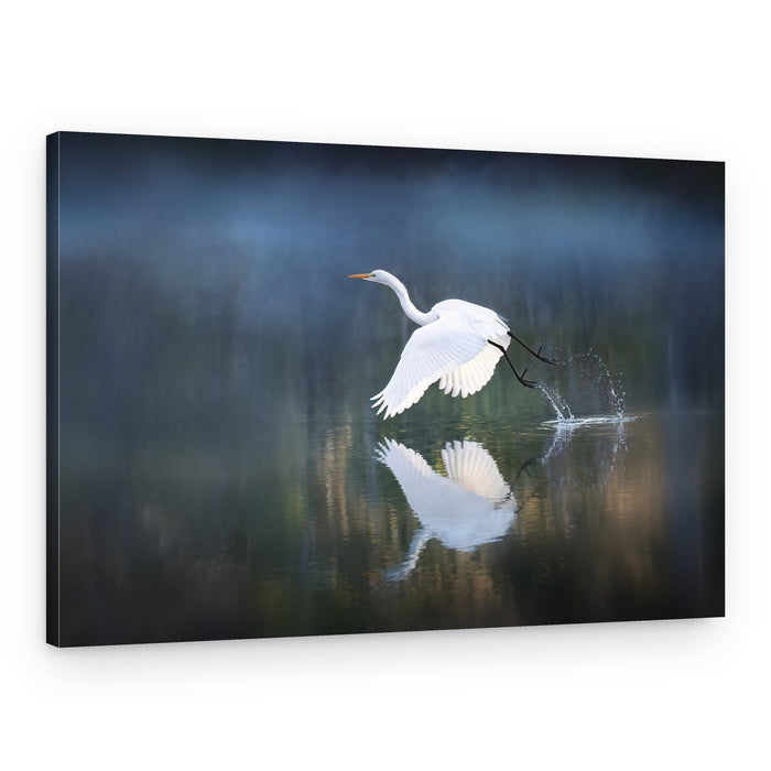Egret Takes Flight – Canvas Print