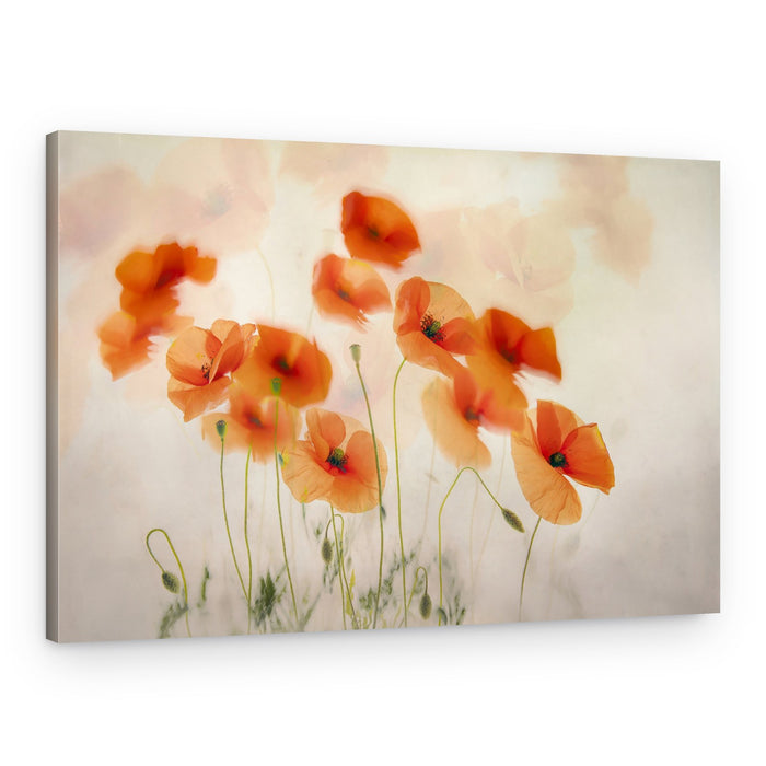 Waving in the wind – Canvas Print