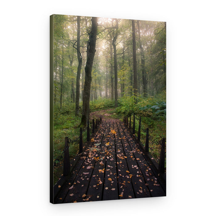 Misty Forest Bridge – Canvas Print