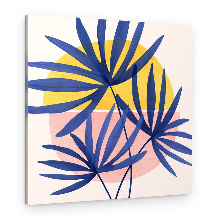 Fan Palm 1 – Canvas Print