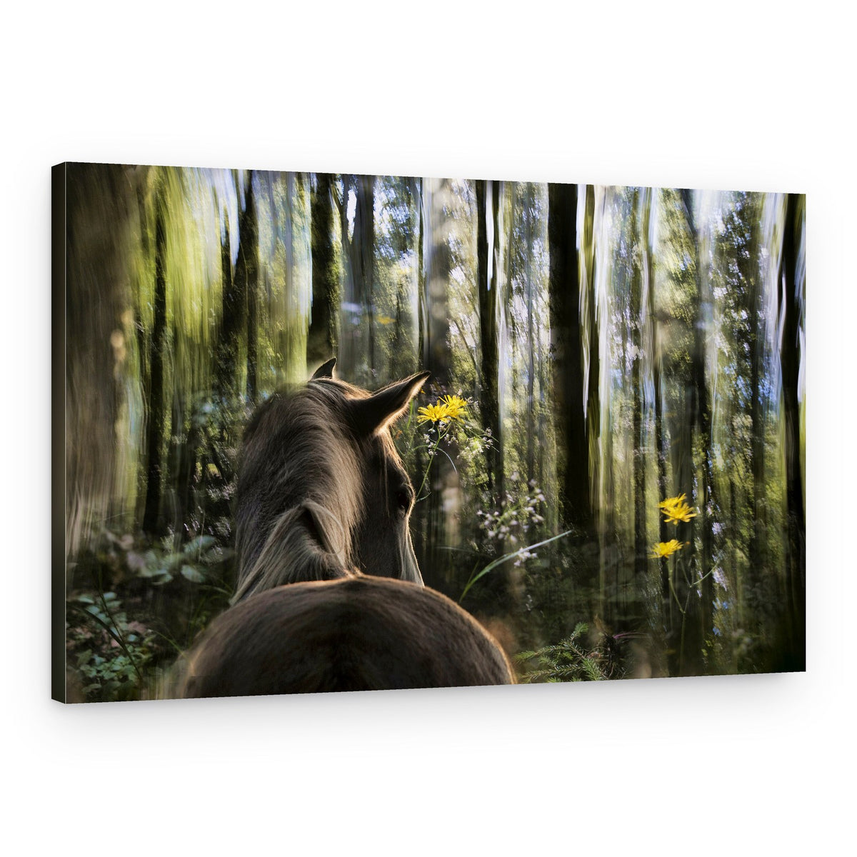 Ethereal Woodland Horse – Canvas Print