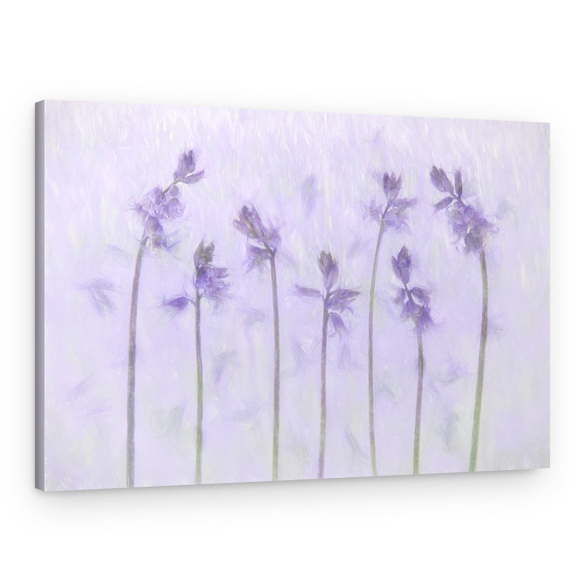 Delicate Purple Flowers – Canvas Print