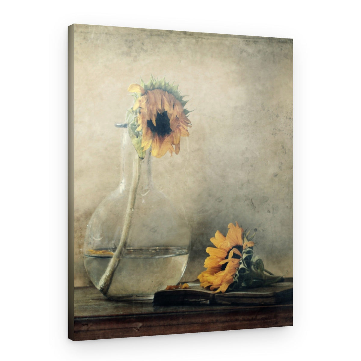 Golden Fading Sunflowers – Canvas Print