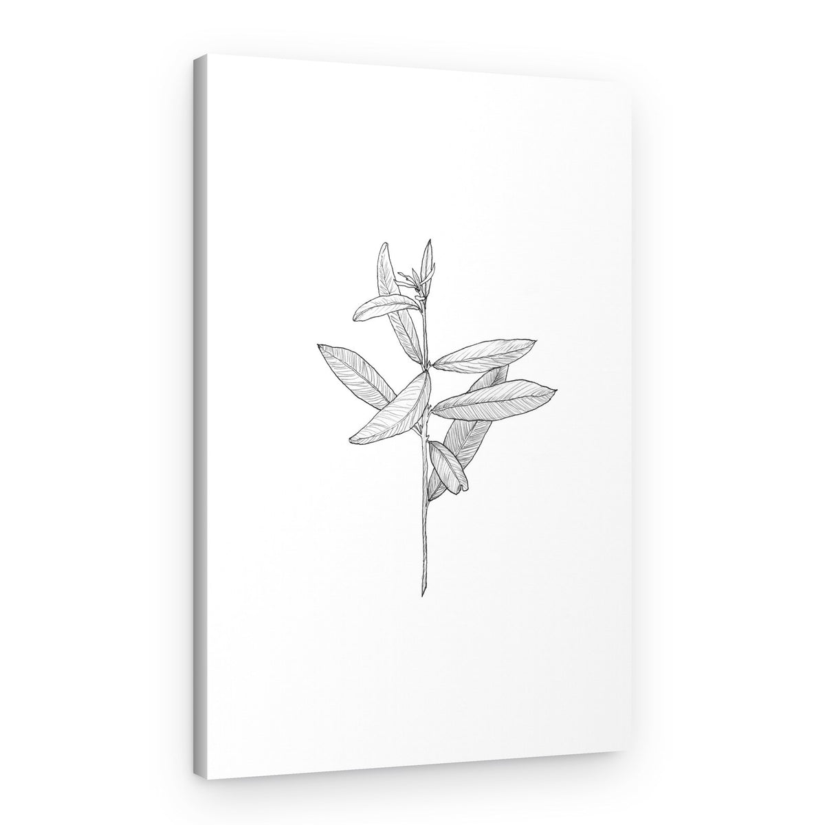 Elegant Botanical Leaves – Canvas Print