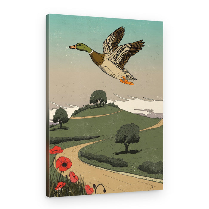Mallard Over Rolling Hills – Canvas Print