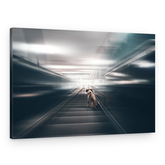 Dog on Escalator – Canvas Print