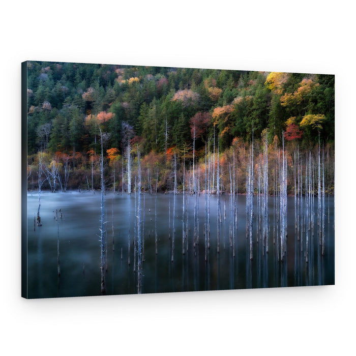 Misty Lake Autumn Trees – Canvas Print