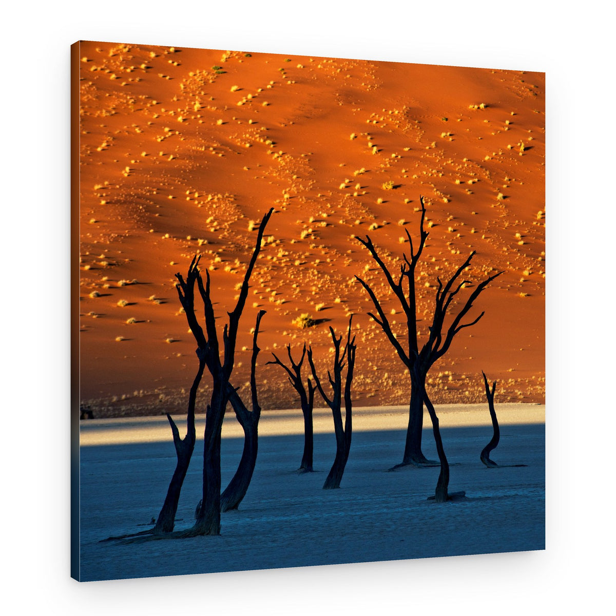 Deadvlei Desert Dawn – Canvas Print