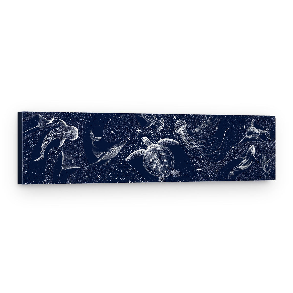 Celestial Marine Life – Canvas Print