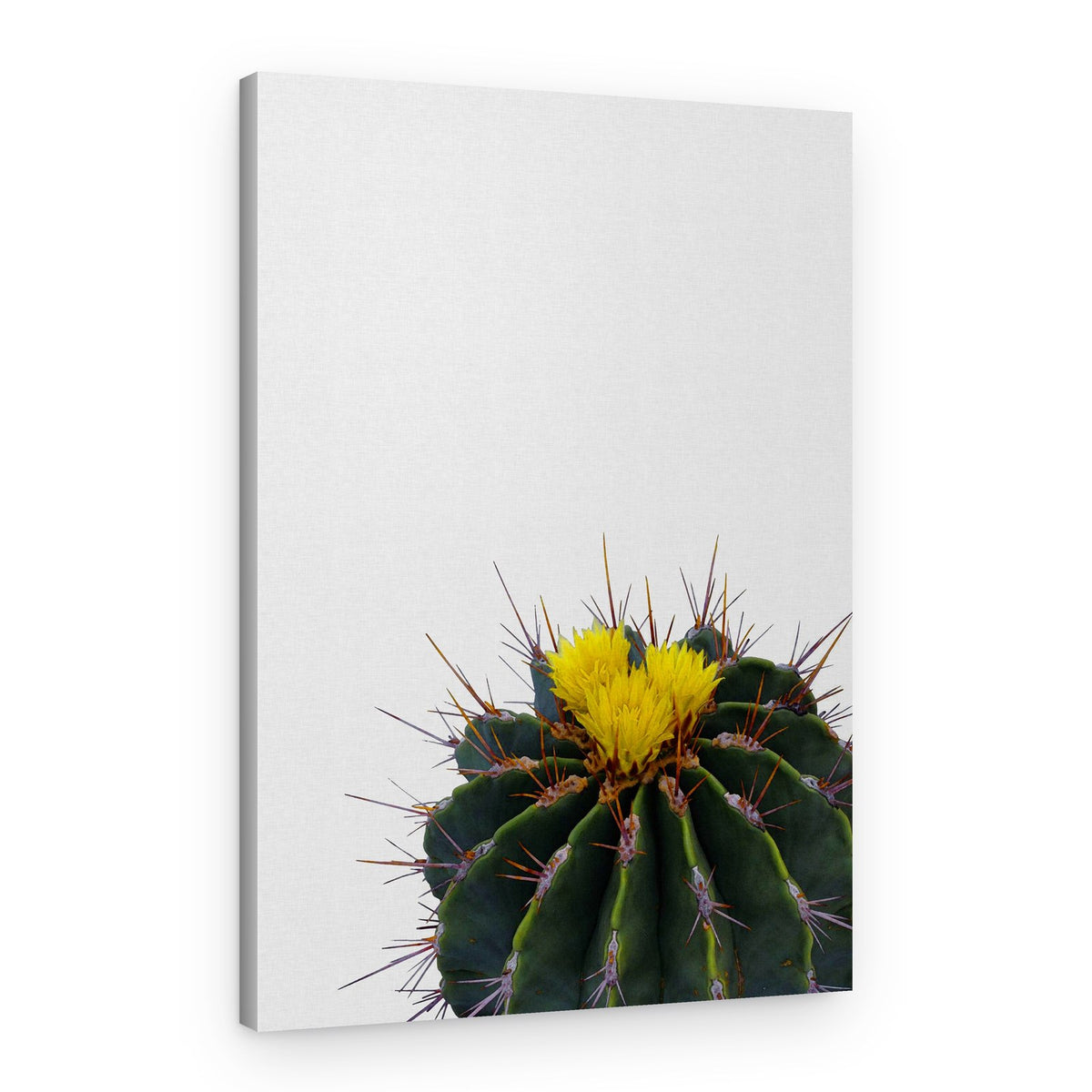 Yellow Cactus Bloom – Canvas Print