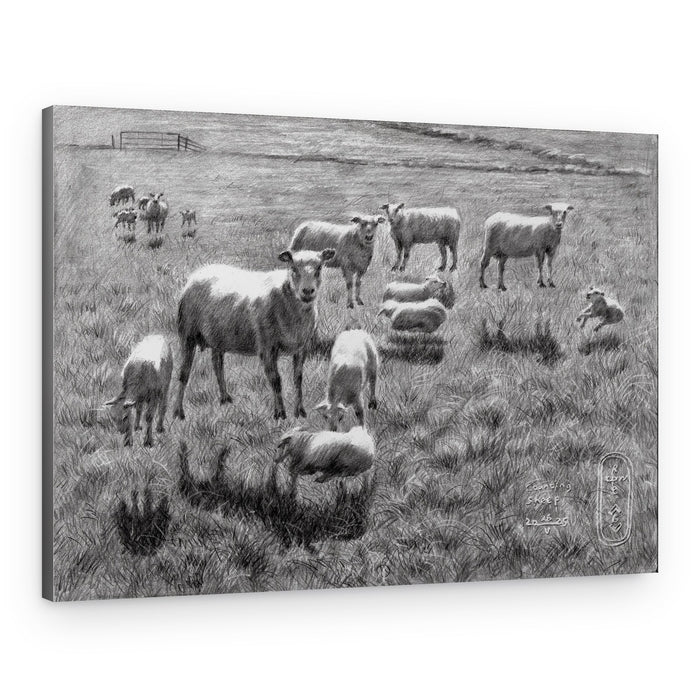 Peaceful Sheep Pasture Drawing – Canvas Print