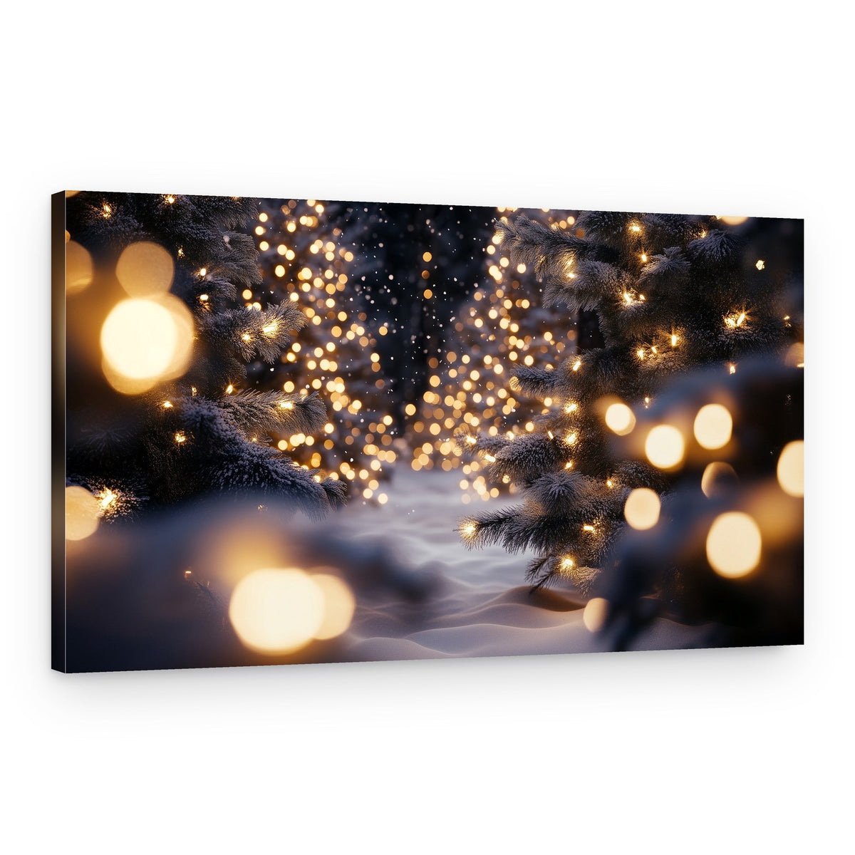 Magical Winter Path – Canvas Print