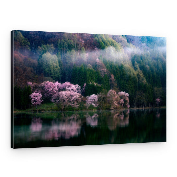 Misty Cherry Blossom Lake – Canvas Print