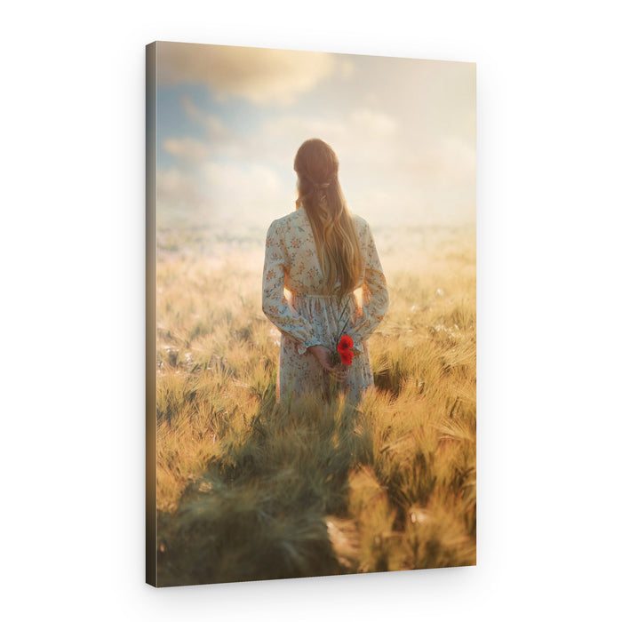 Golden Hour Poppies – Canvas Print