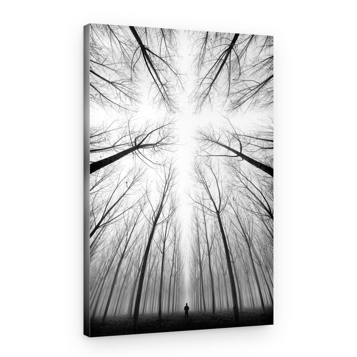 Lone Figure Foggy Forest – Canvas Print