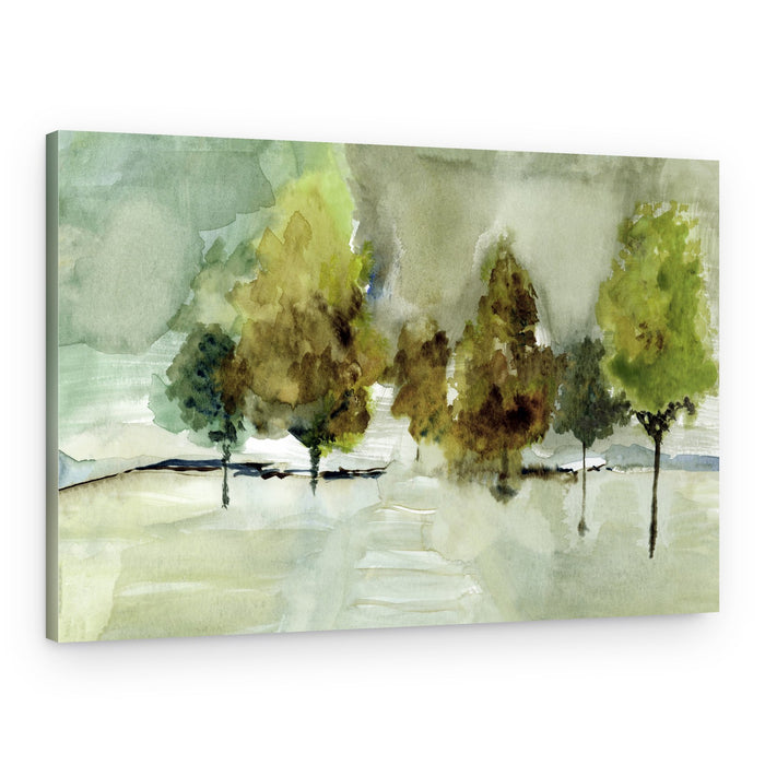 Misty Green Trees – Canvas Print