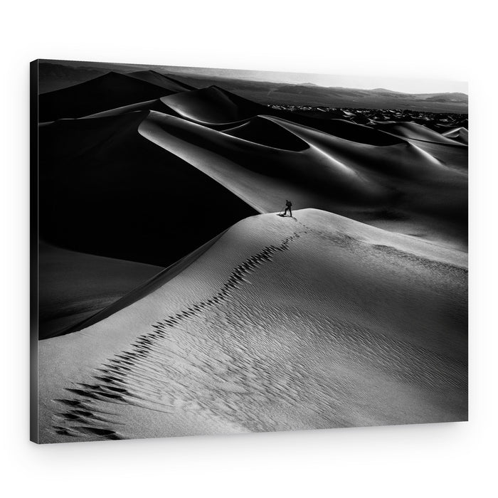 Dune Walker – Canvas Print