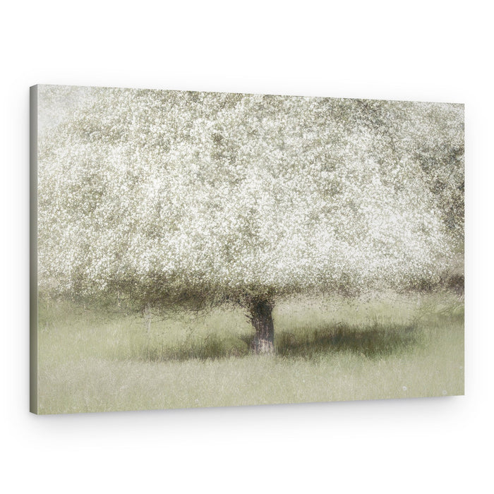 In the backyard – Canvas Print