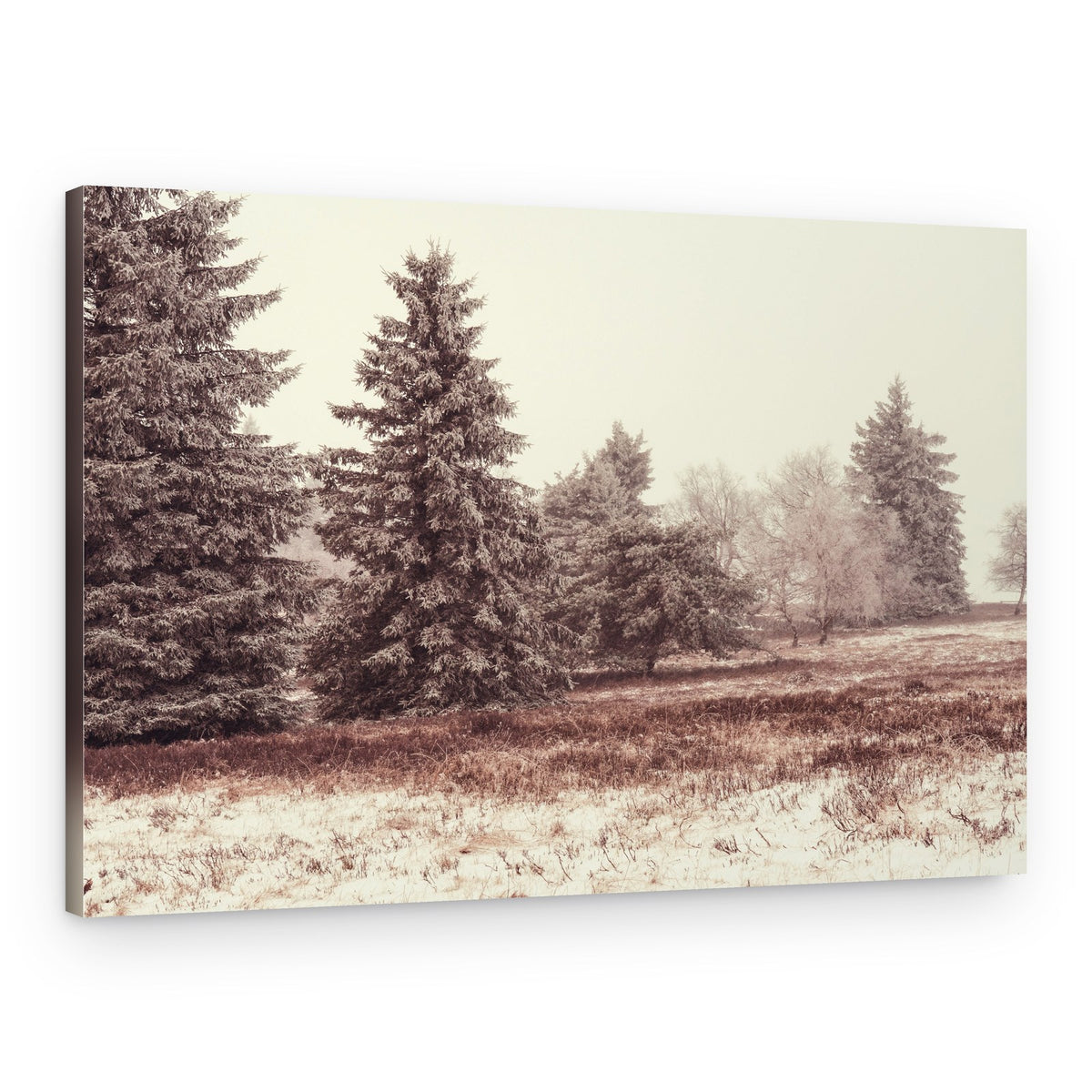 Misty Winter Landscape – Canvas Print