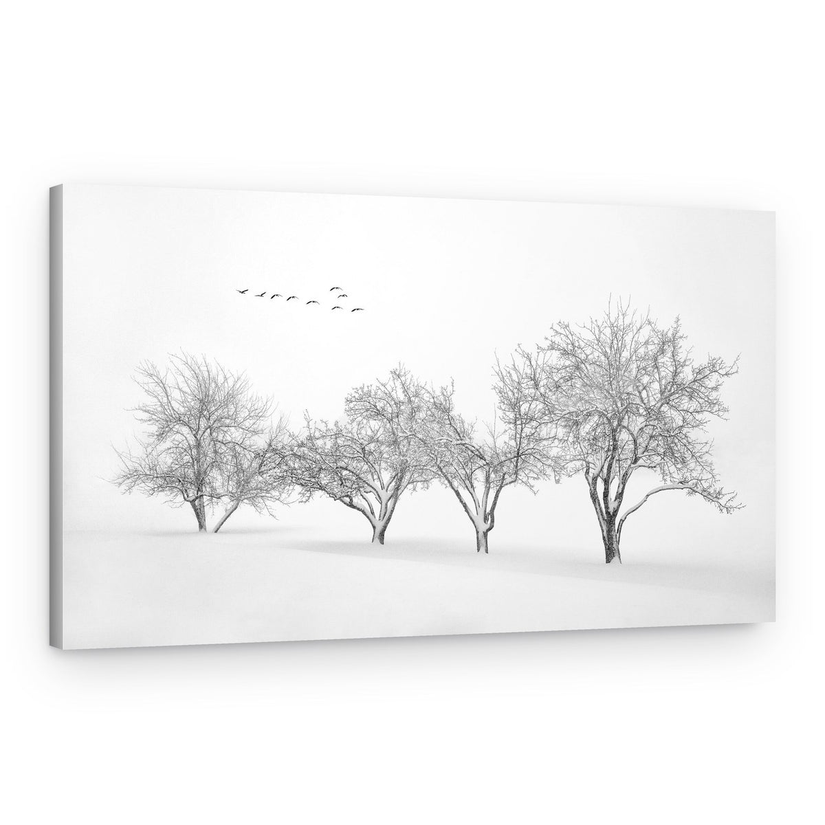 Birds Over Snowy Trees – Canvas Print
