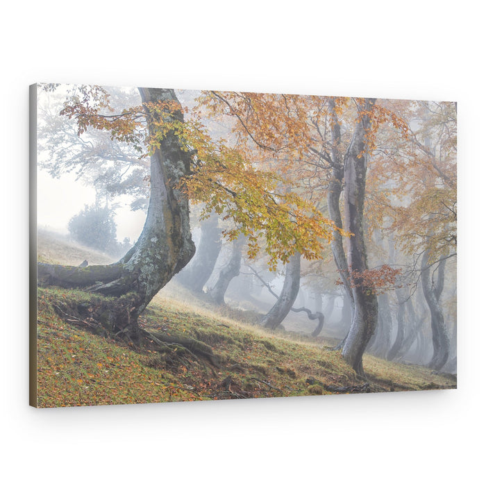 Misty Autumn Forest – Canvas Print