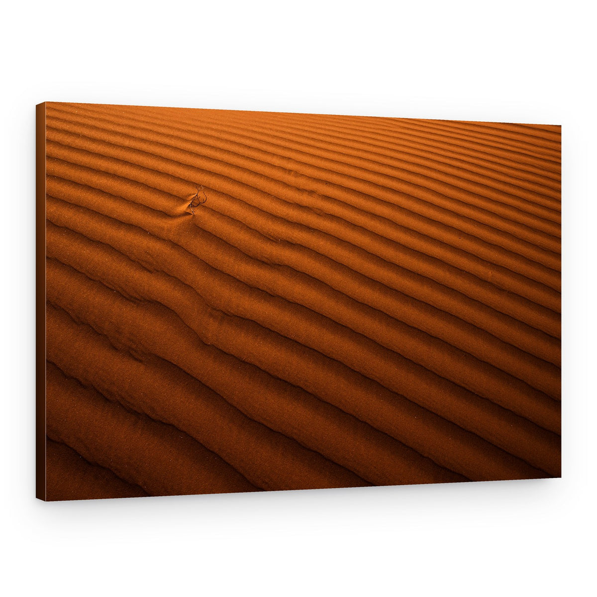 Orange Desert Ripples – Canvas Print