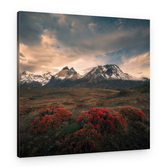 Vibrant Mountain Wilderness – Canvas Print