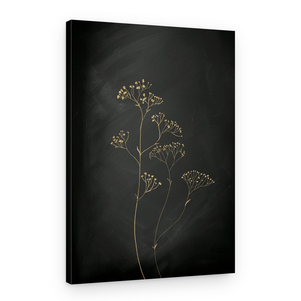 Delicate Dried Botanicals – Canvas Print