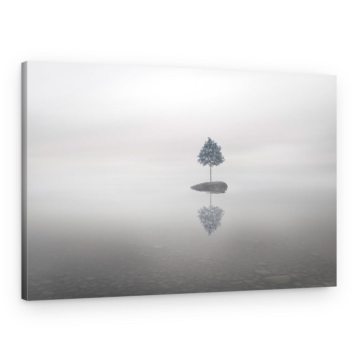Lone Tree Reflection – Canvas Print