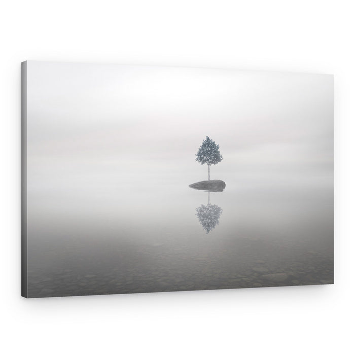 Lone Tree Reflection – Canvas Print