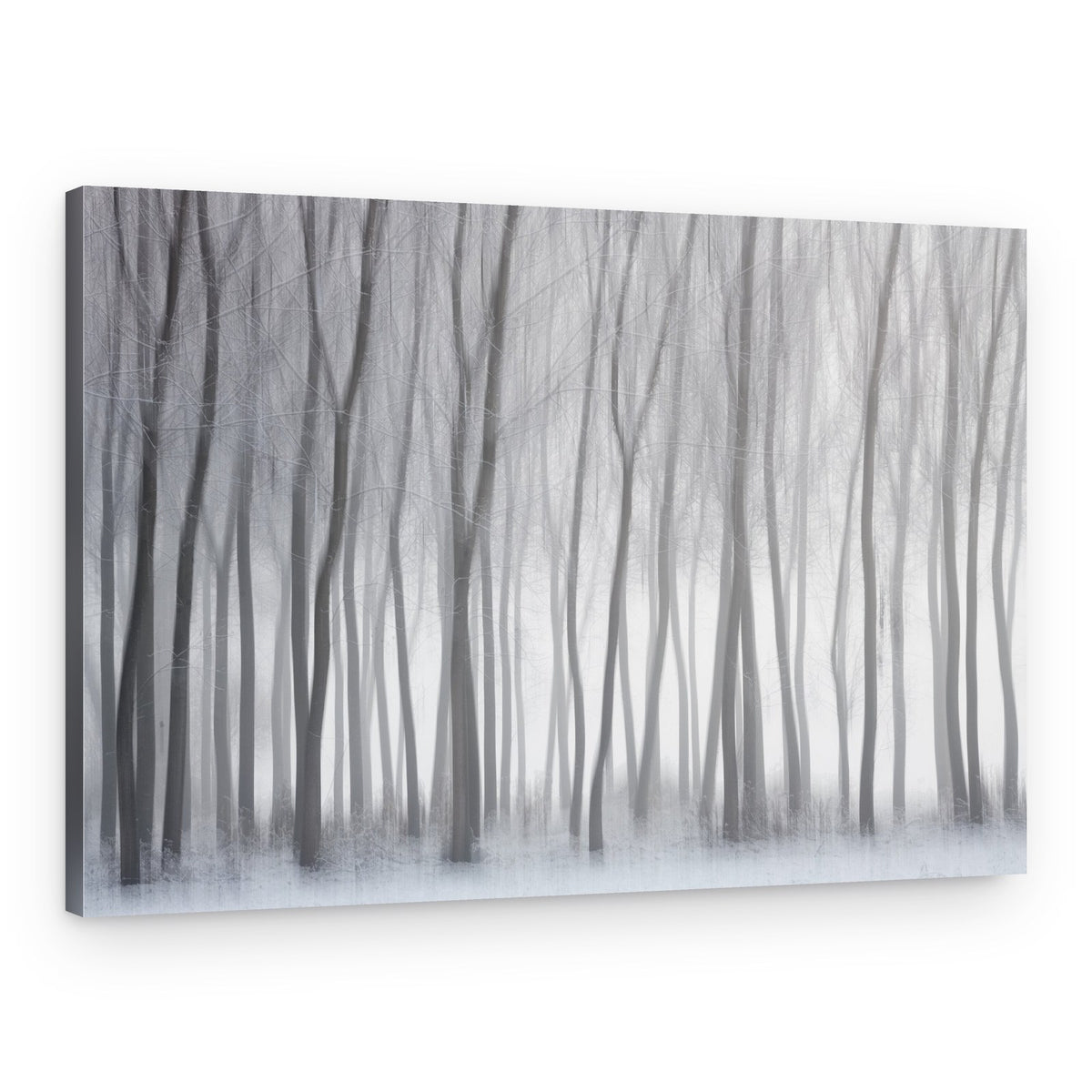 Misty Winter Forest – Canvas Print