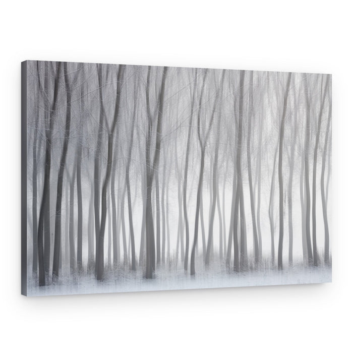 Misty Winter Forest – Canvas Print