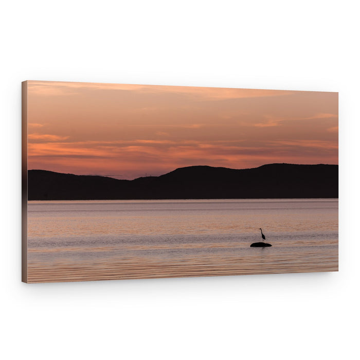 Golden Hour Heron – Canvas Print