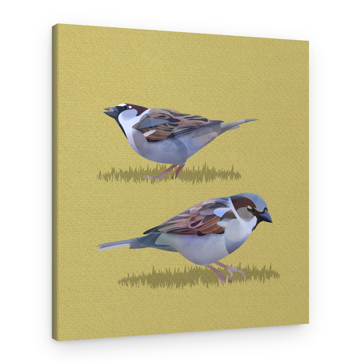Peaceful Sparrows – Canvas Print