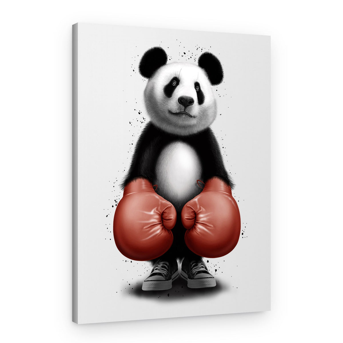 Panda Boxer – Canvas Print