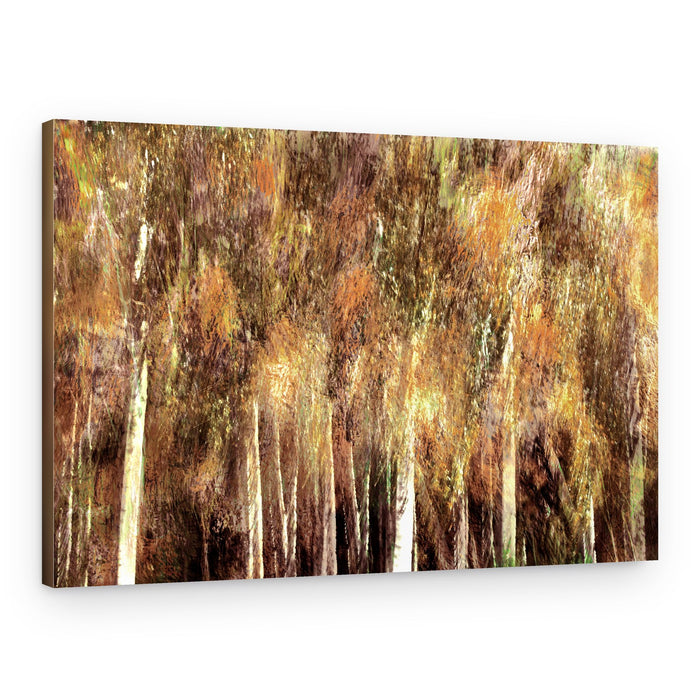 Golden Autumn Forest – Canvas Print